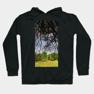 Under the Trees part 3 Hoodie